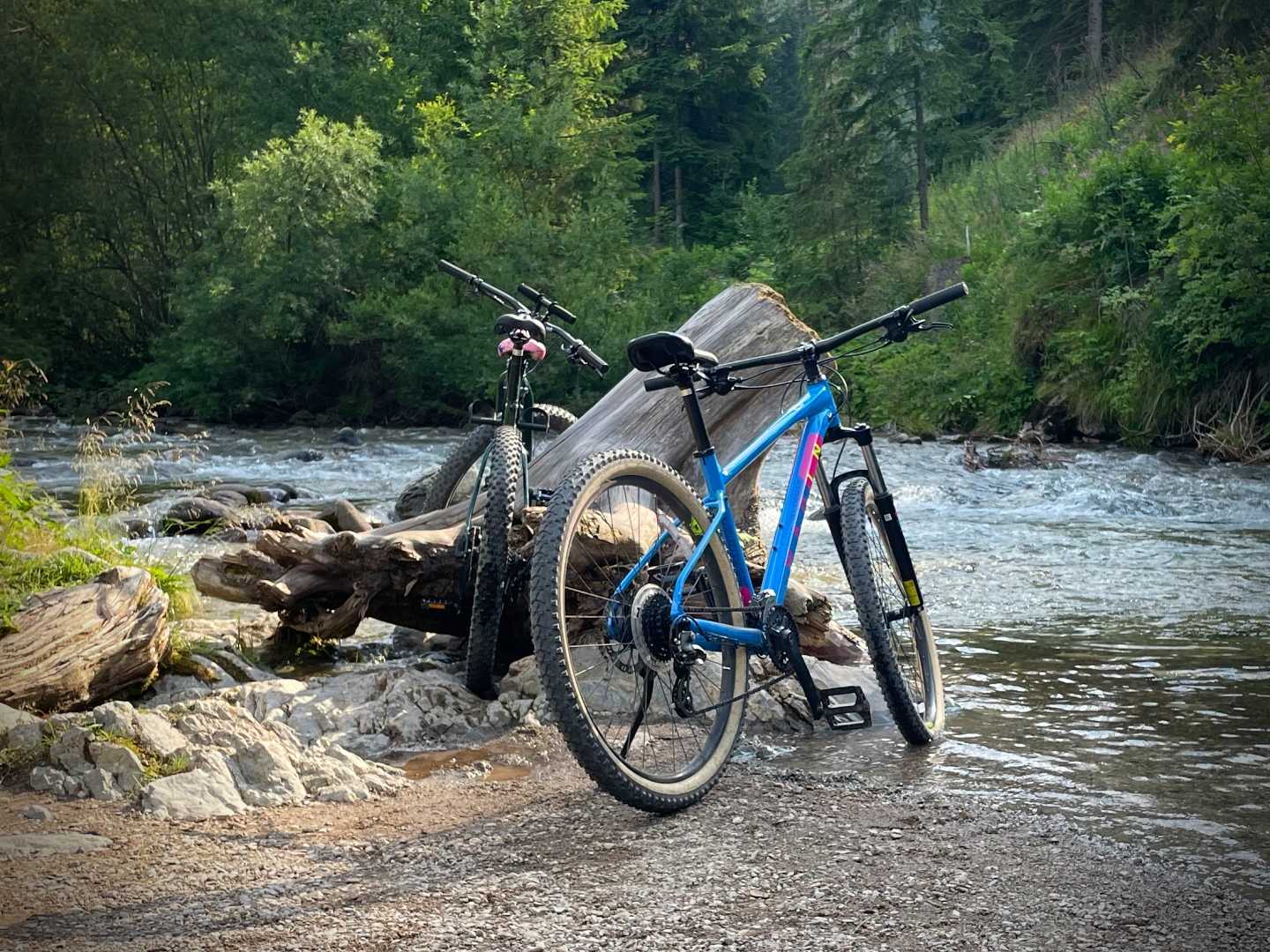 MARIN - Wypożyczalnia I Serwis Rowerów Elektrycznych, Dolina ...