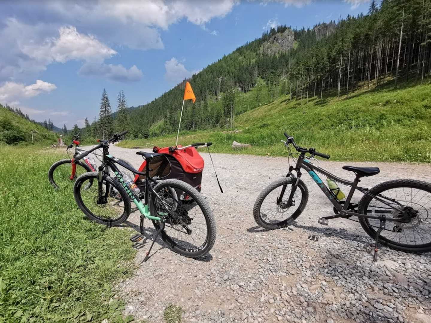 MARIN - Wypożyczalnia I Serwis Rowerów Elektrycznych, Dolina ...